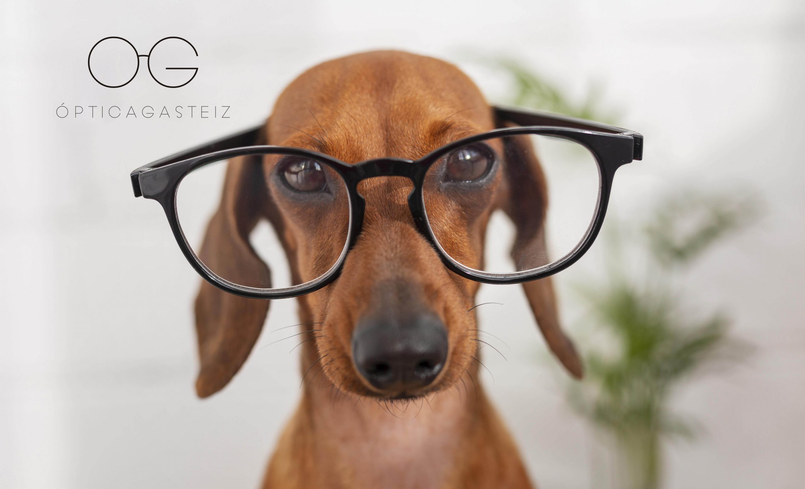 ¿Cómo sé si necesito gafas?